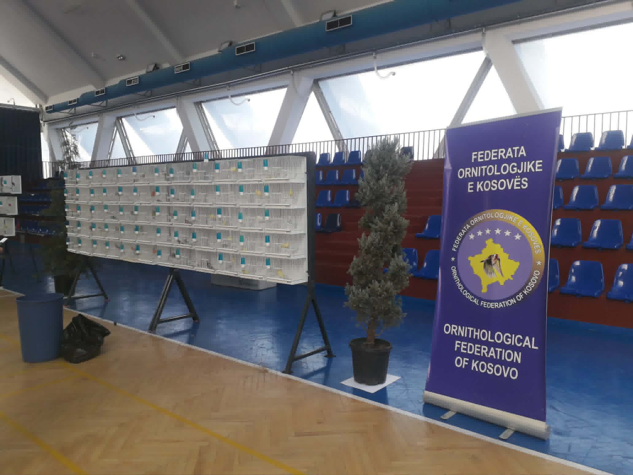 Panair në Kosovë